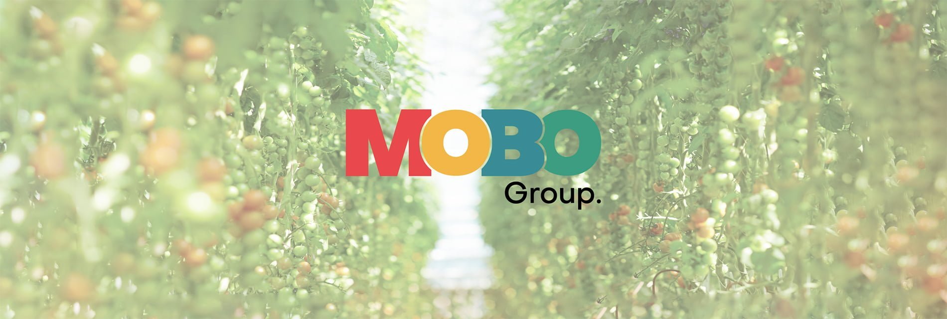 Mobo - Cover image