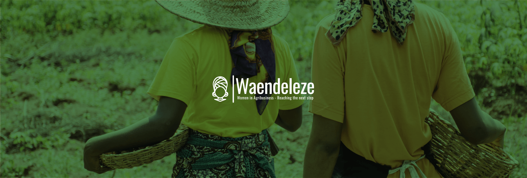 Waendeleze