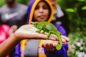 UNZIP - #PeopleLikeToShare